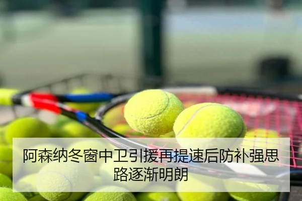 阿森纳冬窗中卫引援再提速后防补强思路逐渐明朗