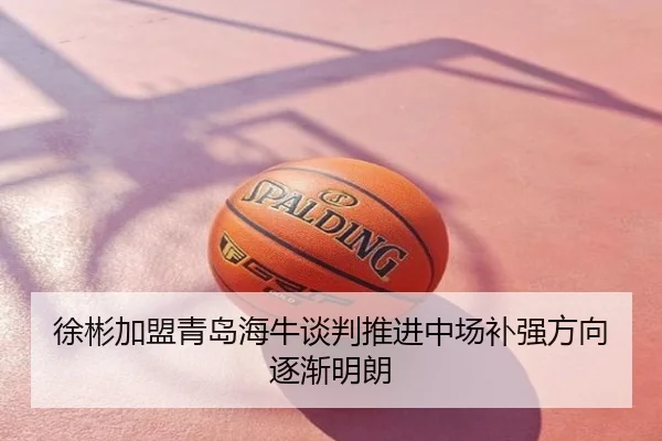 徐彬加盟青岛海牛谈判推进中场补强方向逐渐明朗