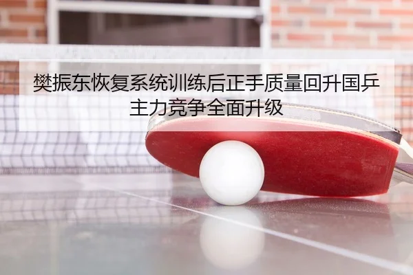樊振东恢复系统训练后正手质量回升国乒主力竞争全面升级